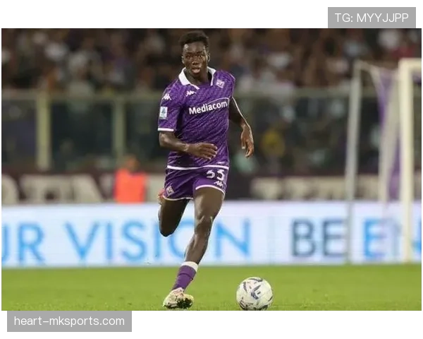 布伦特福德积极引援，实力跃升剑指更高目标